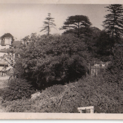 Backyard View First Home in Sydney 4