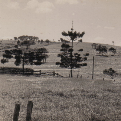 Henry Family Farm 1