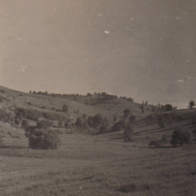 Henry Family Farm Looking North Channon